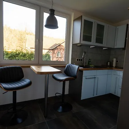 Apartment Thueringer Wald - Garten & Terrasse Bischofrod
